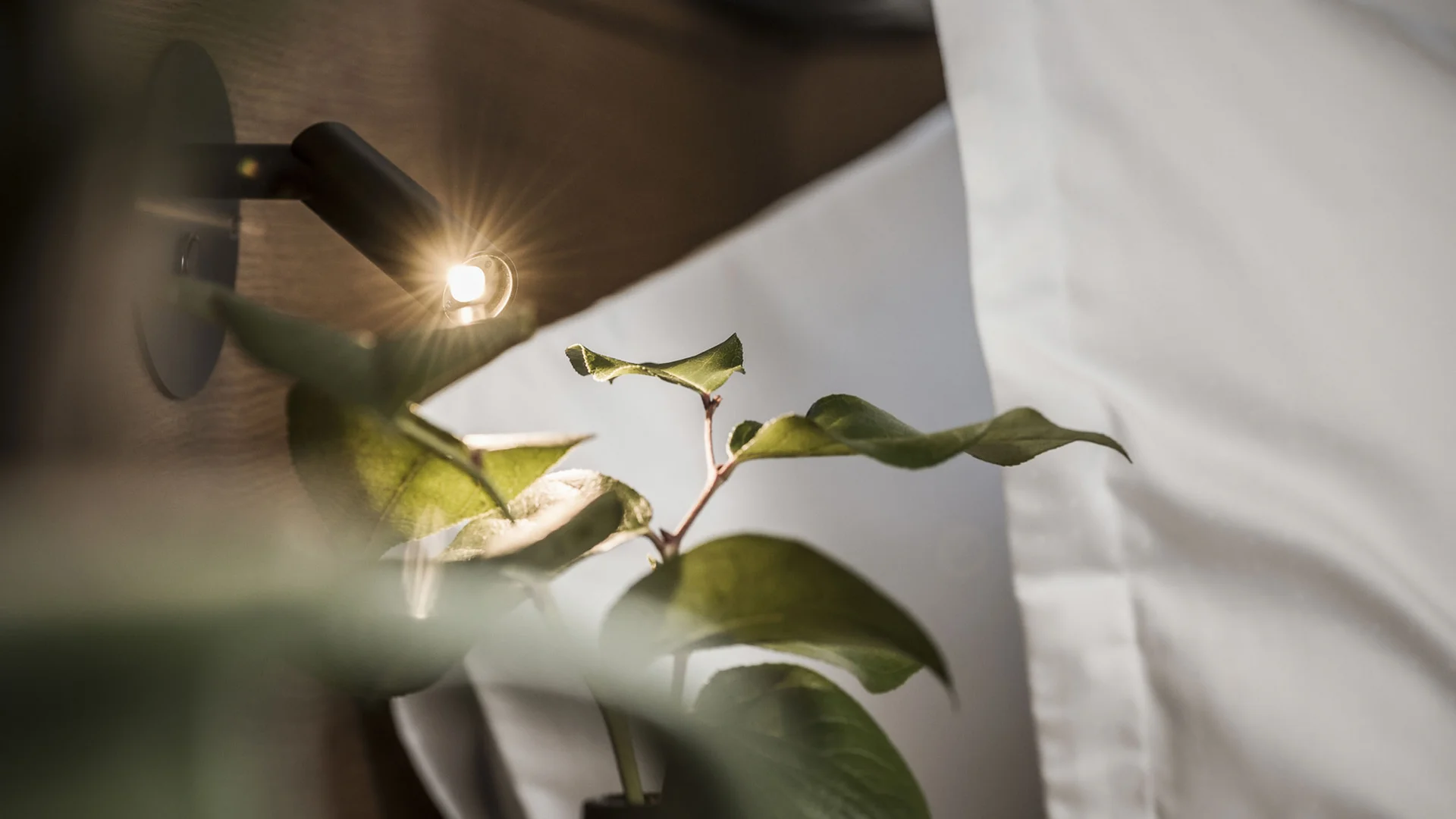 Euer Aparthotel im Zillertal – der Stacherhof Euer Aparthotel im Zillertal – der Stacherhof