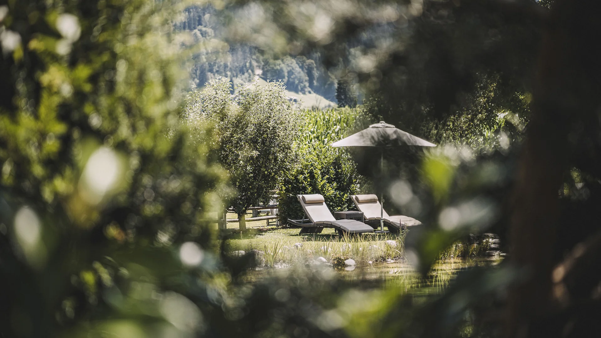 Euer Aparthotel im Zillertal – der Stacherhof Euer Aparthotel im Zillertal – der Stacherhof