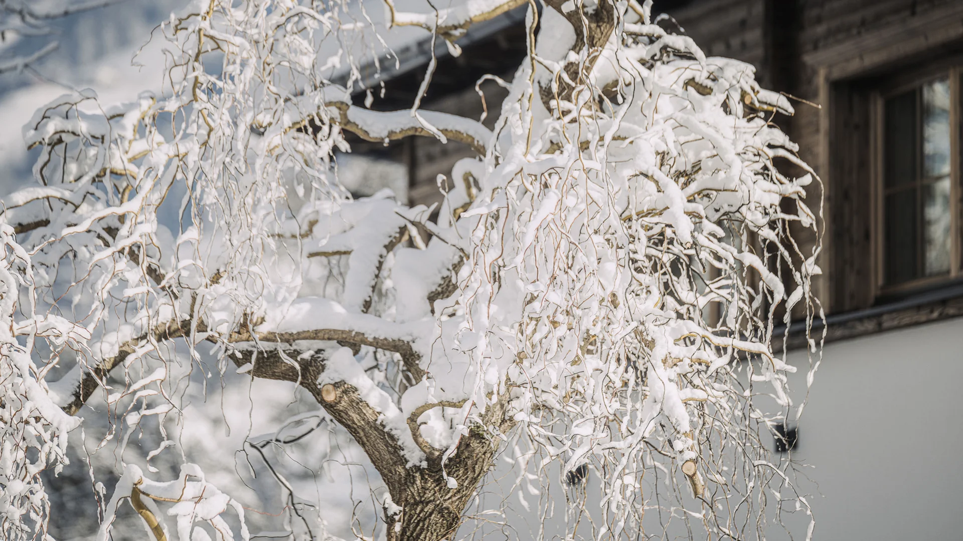 Euer Aparthotel im Zillertal – der Stacherhof Euer Aparthotel im Zillertal – der Stacherhof